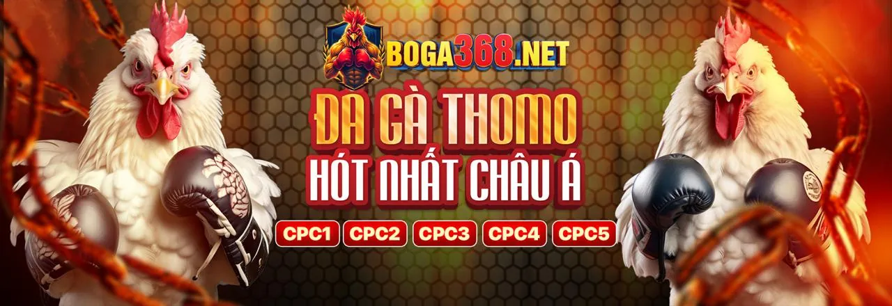Quy tắc trò chơi và đặt cược công bằng tại MM88M Nhà Cái