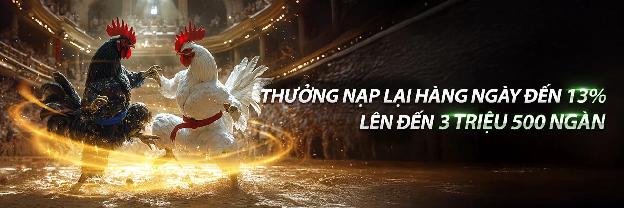 Hình ảnh giới thiệu về mm88m nhà cái